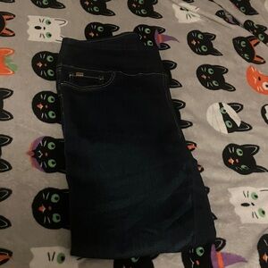 DG2 Diane Gilman Comfort Waist Indigo Blue Skinny Jegging 14 Large